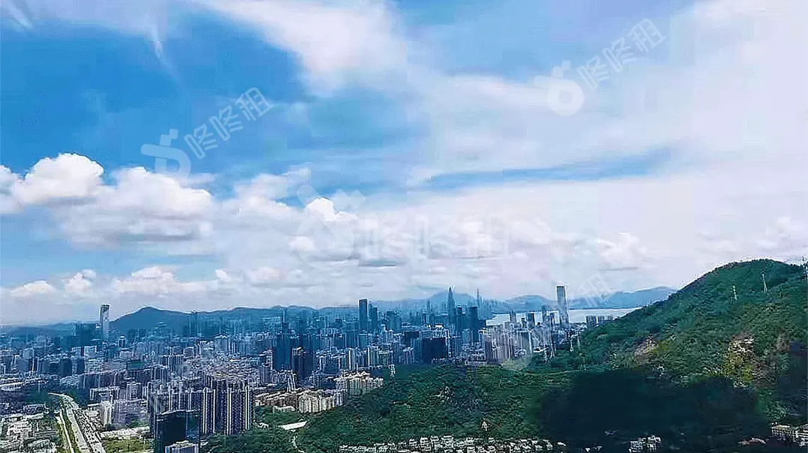 中国商品房销售面积和销售额年内首现同比“双涨”-咚咚租