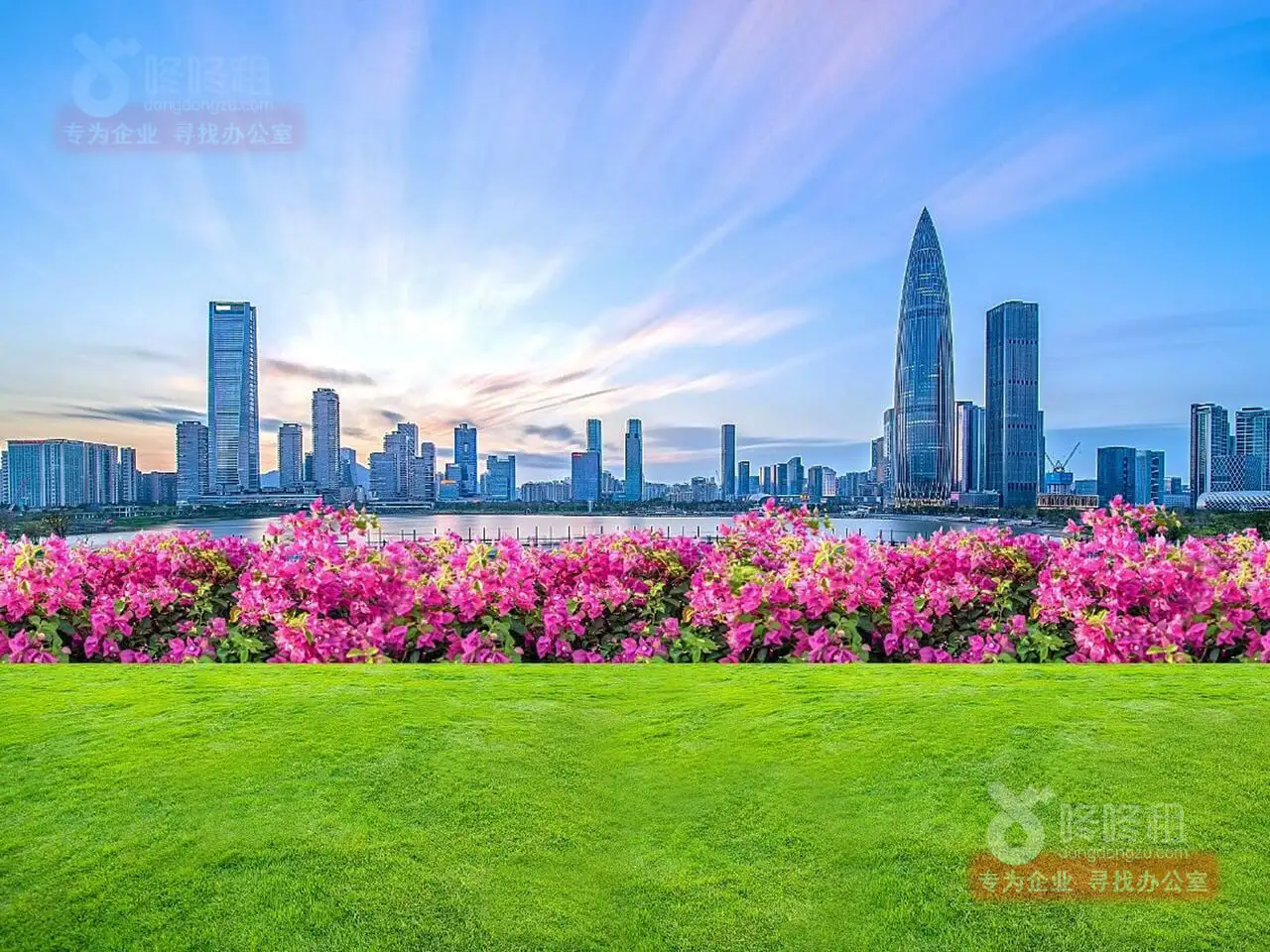 又一企業總部落戶!前海總部企業已達百余家-咚咚租