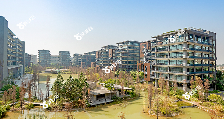 探秘深圳青海大廈:別具一格的辦公新地標-咚咚租